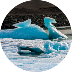 Islandreisen Islandurlaub Schwan aus Eis