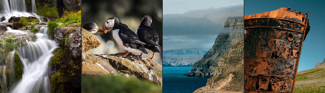 Islandreisen Westfjorde Dynjandi Papageitaucher Klippen Schiffswrack