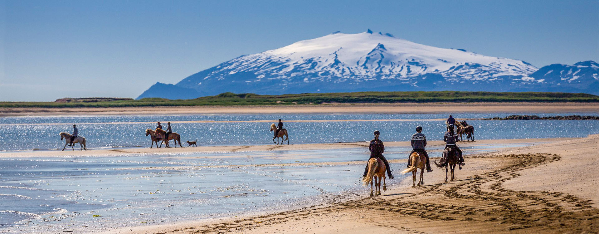 Islandreisen Islandurlaub Reiter vor dem Snaefellsjökull