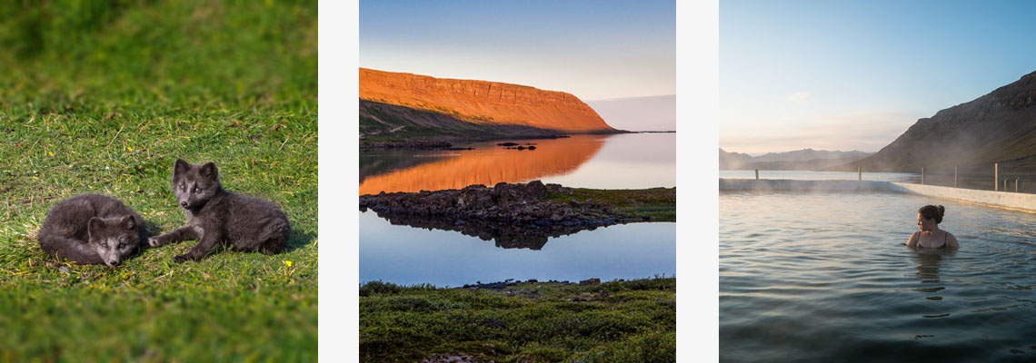 Islandreisen Westfjorde Polarfüchse Fjord Badende